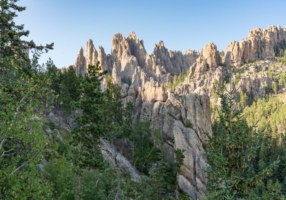 giving-back-to-black-hills