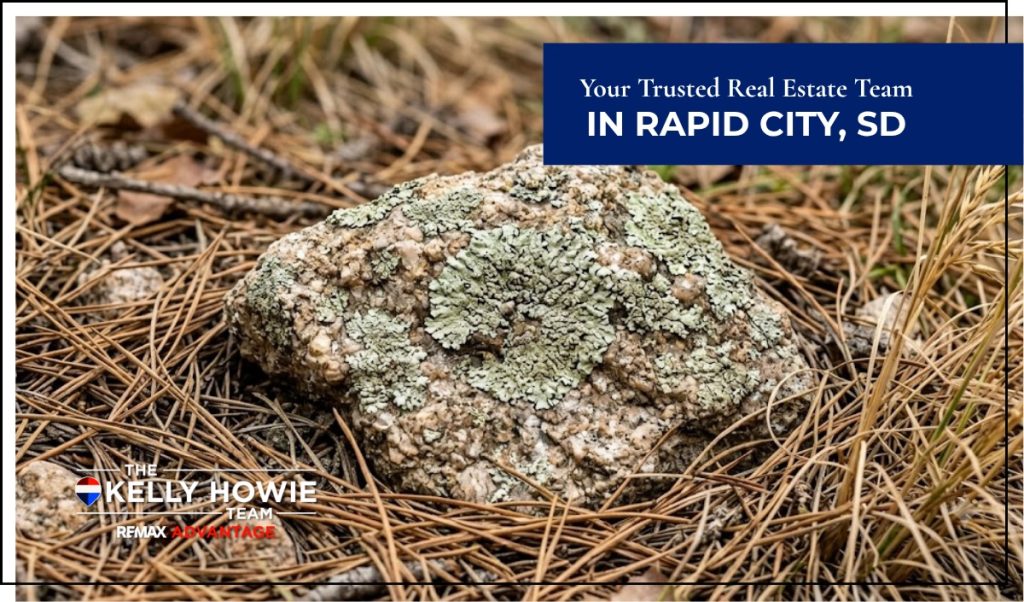 Acreage for sale in Black Hills SD